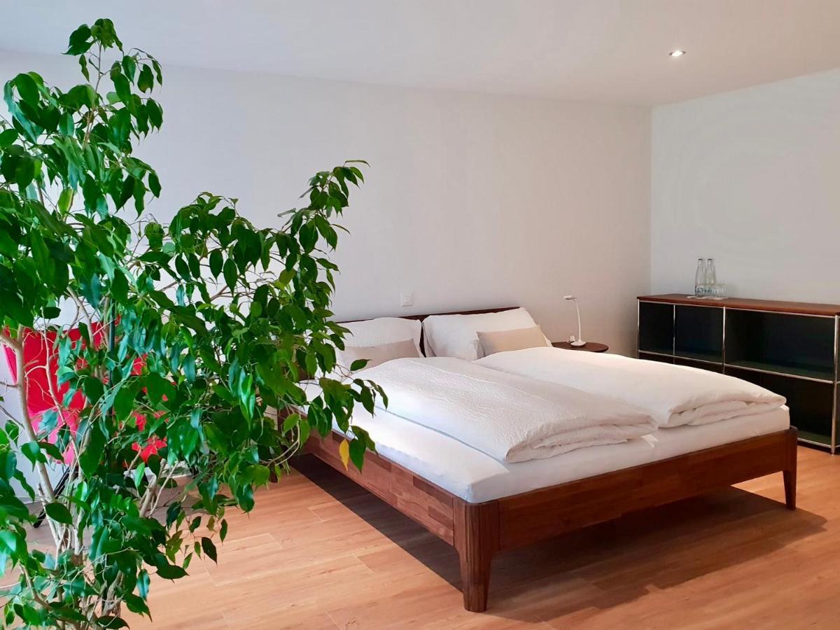 Ringmauer Hotel Murten Kültér fotó